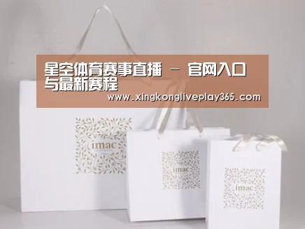 项目名称十一
