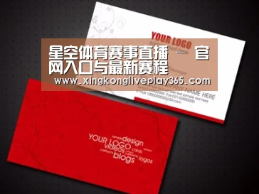项目名称一