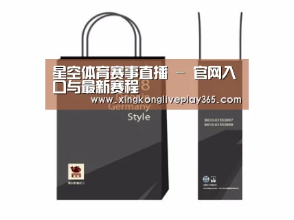 项目名称十四