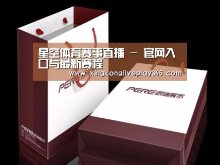 项目名称十二