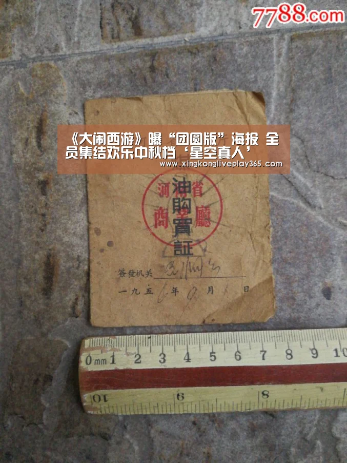 《大闹西游》曝“团圆版”海报 全员集结欢乐中秋档‘星空真人’(图3) 星空官网