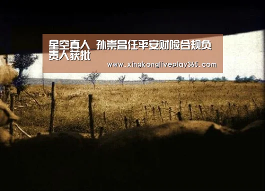 星空真人_孙崇昌任平安财险合规负责人获批(图3) 星空官网