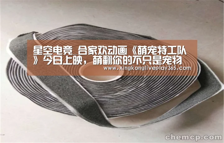 星空电竞_合家欢动画《萌宠特工队》今日上映,萌翻你的不只是宠物(图2) 星空官网