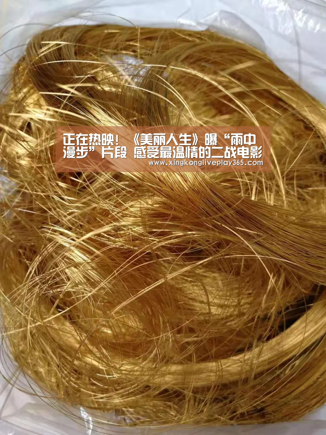 星空官网