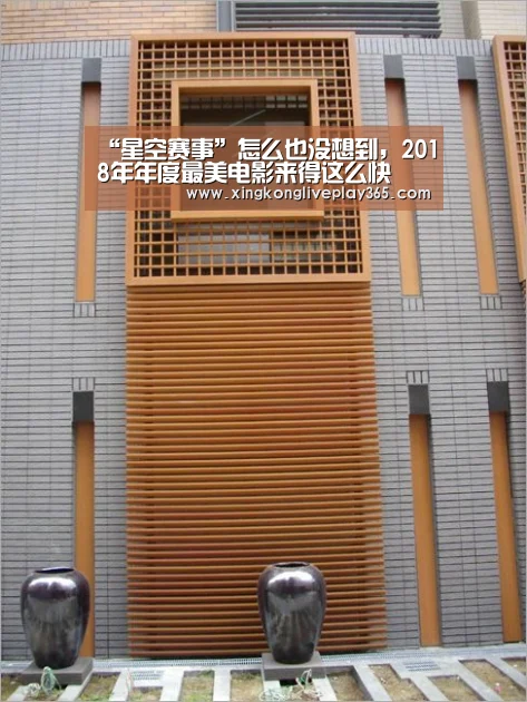 “星空赛事”怎么也没想到,2018年年度最美电影来得这么快(图1) 星空官网