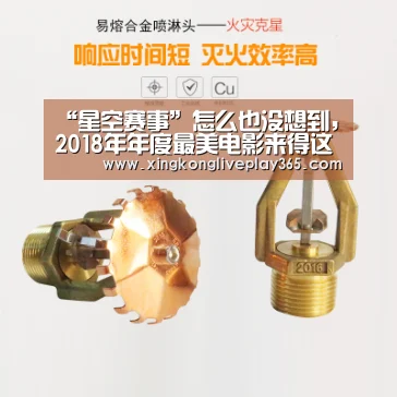 “星空赛事”怎么也没想到,2018年年度最美电影来得这么快(图3) 星空官网