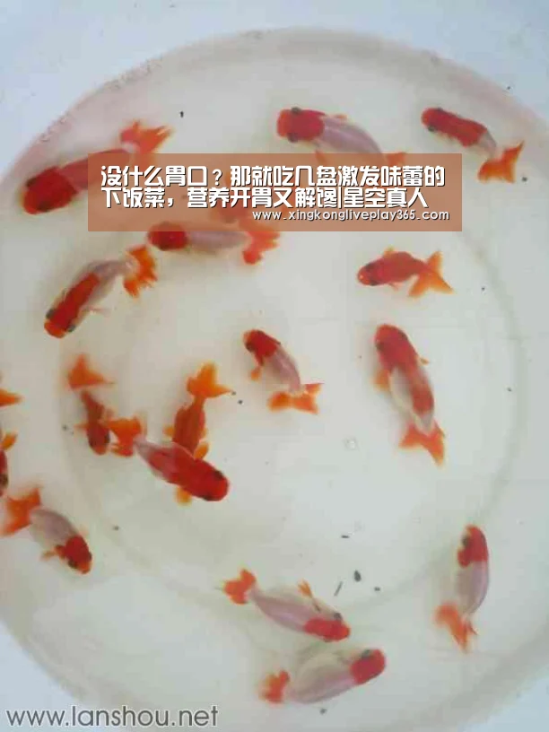 没什么胃口?那就吃几盘激发味蕾的下饭菜,营养开胃又解馋|星空真人(图4) 星空真人