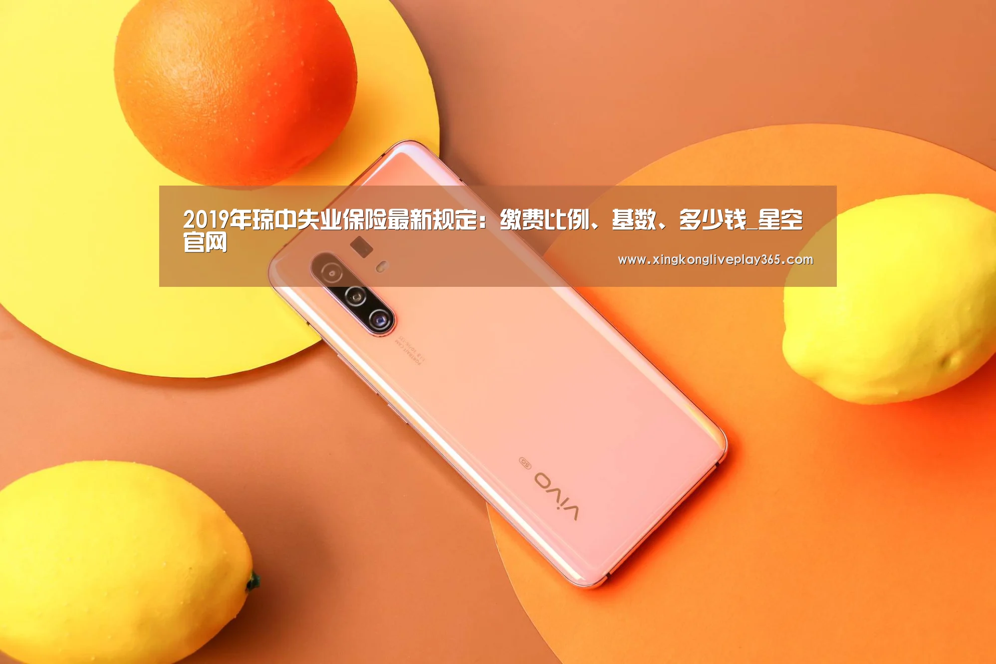 2019年琼中失业保险最新规定:缴费比例、基数、多少钱_星空官网(图1) 星空真人